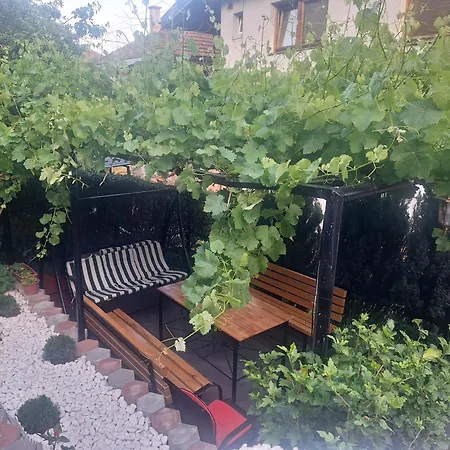 Sun - With A Free Garage And Garden With A Bbq Apartment *